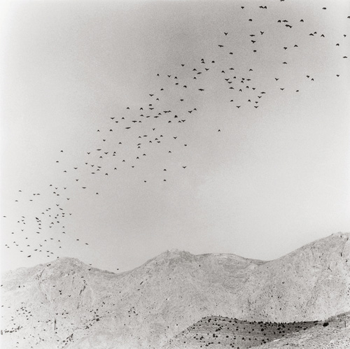 Bernard Descamps
