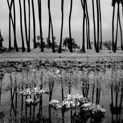 Bernard Descamps